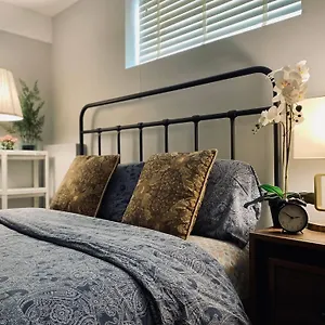 Newly Renovated Elephant Close To Banff And Business Center Canada